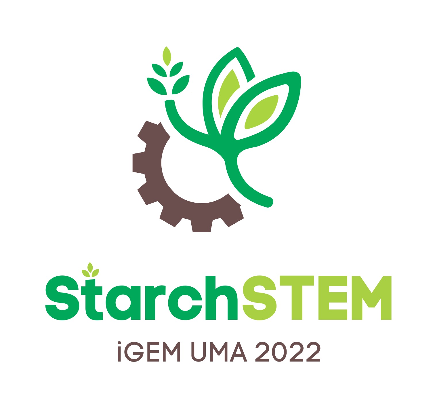 StarchSTEM